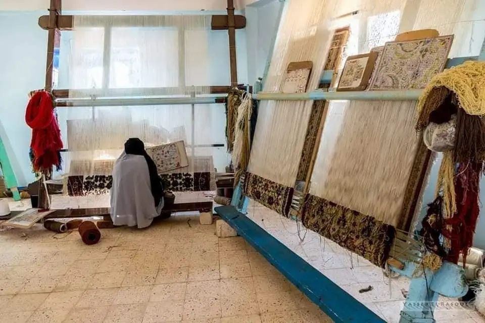 خطوط انتاج متكاملة لصناعة السجاد بالوادى الجديد خطوط انتاج متكاملة لصناعة السجاد بالوادى الجديد