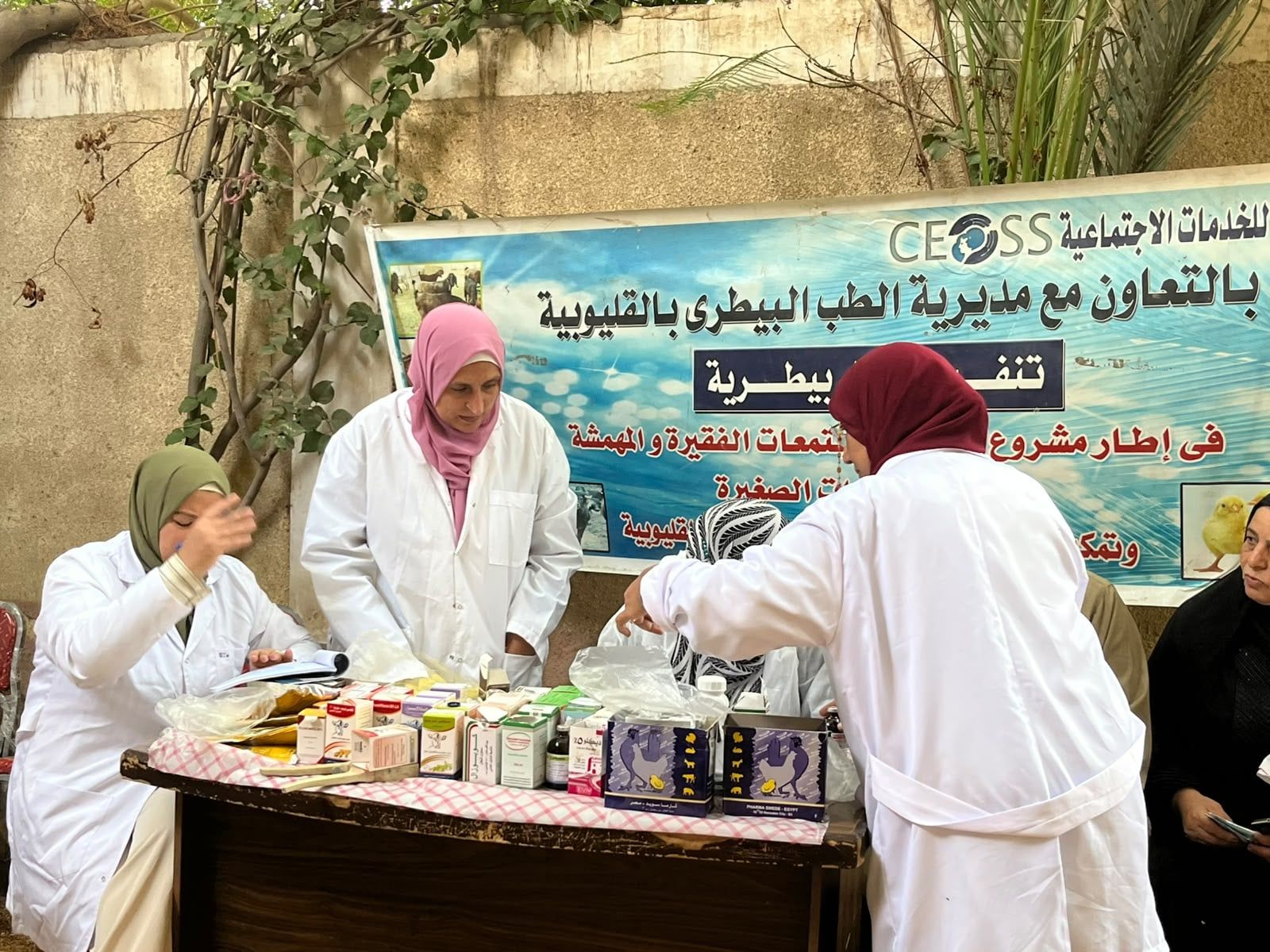 جانب من القافلة جانب من القافلة