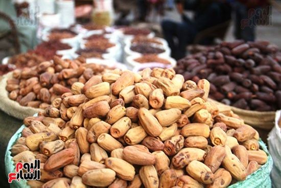 بلح-بلدي بلح-بلدي