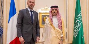 وزير الخارجية ونظيره الفرنسي يبحثان العلاقات والتطورات الإقليمية
