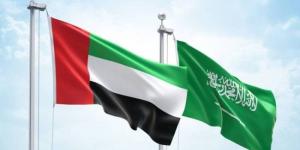 وزيرا خارجية السعودية والإمارات يناقشان هاتفيا رفع مستوى التنسيق لخفض التصعيد بالمنطقة