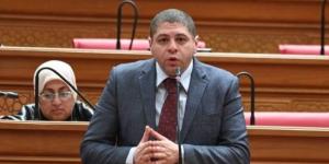 النائب أحمد جبيلي: مصر سند للأشقاء.. ودعم السعودية يجسد ثوابت الدولة المصرية :اليوم السابع