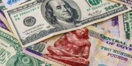 استقرار سعر الدولار أمام الجنيه في بداية تعاملات الأربعاء