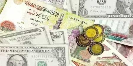ارتفاع أسعار العملات الأجنبية اليوم الأربعاء 21 أكتوبر 2026.. آخر تحديث بالبنوك