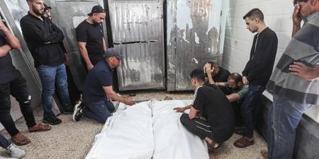 الصحة بغزة: 7 شهداء و24 إصابة خلال الـ24 ساعة الماضية