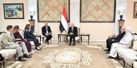 الرئيس العليمي يدعو لتحرك دولي ضد الحوثيين على غرار داعش والقاعدة