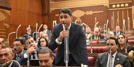 نائب: حديث فخامة الرئيس السيسى عن مخاطر مواقع التواصل تبرز دور الأسرة :اليوم السابع