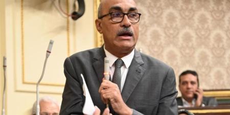 النائب إيهاب منصور: غرامات عدم الإعلان عن الأسعار تصل لـ 500 ألف جنيه وتطبيقها يحتاج مراقبين