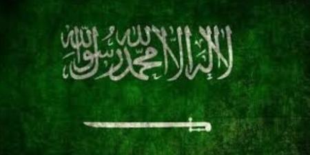 وزير الخارجية السعودي يبحث مع نظيره اليوناني تطورات الأوضاع بالمنطقة :اليوم السابع