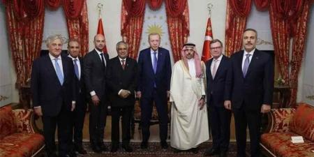 بعد اجتماعات إسطنبول.. أردوغان يلتقي وزراء خارجية السعودية ومصر وباكستان ودول أوروبية