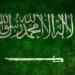 السعودية والكويت تؤكدان تضامنهما في مواجهة كل ما من شأنه المساس بأمنهما :اليوم السابع