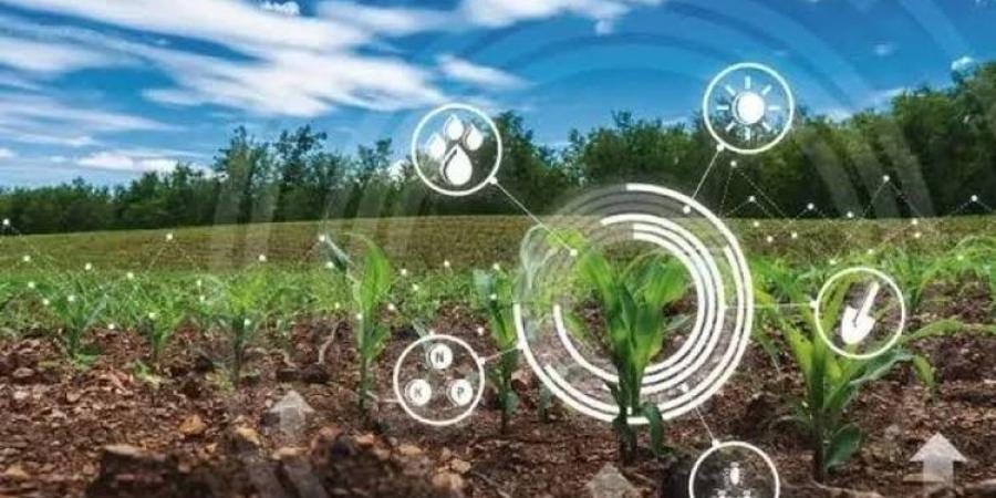 الزراعة المصرية توسّع استخدام التكنولوجيا لتعزيز الإنتاجية