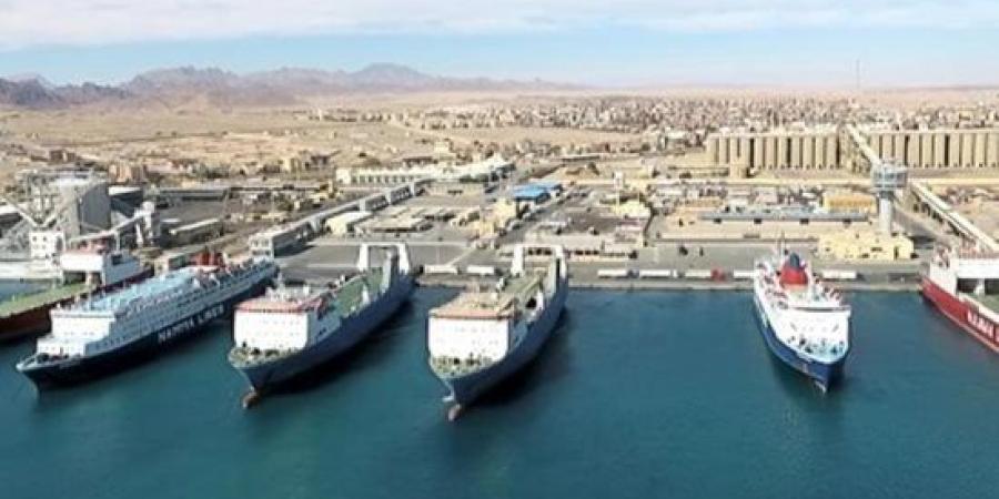 تداول 15 ألف طن و800 شاحنة بضائع عامة ومتنوعة بموانئ البحر الأحمر :اليوم السابع