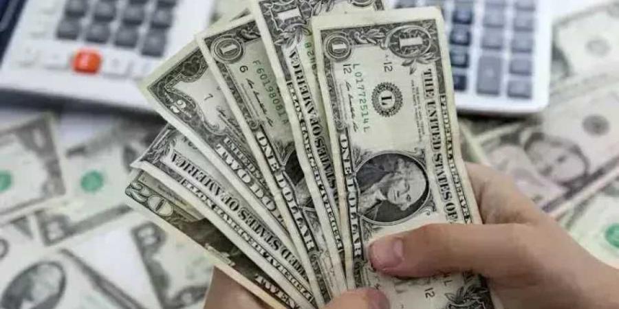 ارتفاع سعر الدولار مقابل الجنيه في مصر.. يقترب من 55 جنيهًا