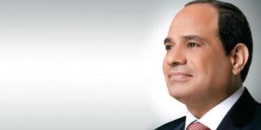 فخامة الرئيس السيسى: كل أنشطة الحكومة يجب أن تُقدّم للناس :اليوم السابع