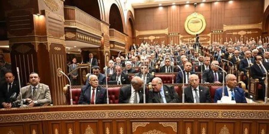 مجلس الشيوخ يناقش سياسة الحكومة لضبط الأسواق ومواجهة الغلاء