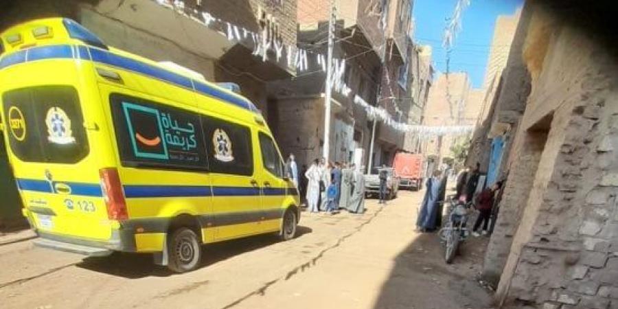 سقط عليه عمود إنارة.. مصرع فنى كهرباء أثناء تأدية عمله فى البحيرة :اليوم السابع