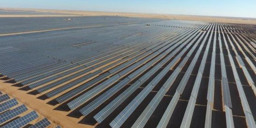 الاقتصاد الأخضر يوسع نطاق منتجات التأمين في مصر