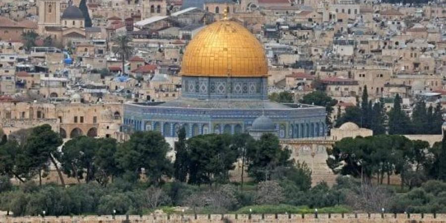 التعاون الإسلامي يدين هجوما إسرائيليا على مدينة الخليل ويدعو لوقف تهجير 1500 فلسطيني :اليوم السابع